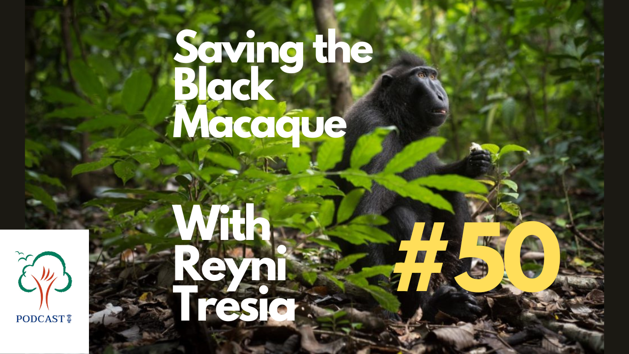 Restore Our Planet Podcast #50 Saving the Black Macaque: Reyni Tresia