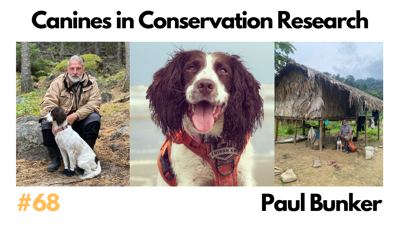 Restore Our Planet Podcast #68 Canines in Conservation Research: Paul Bunker