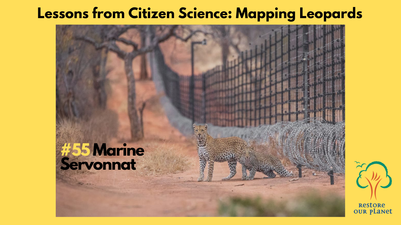 Restore Our Planet Podcast #55 Lessons From Citizen Science: Mapping Leopards with Marine Servonnat.