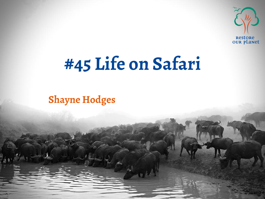 Restore Our Planet Podcast #45 Life on Safari: Shayne Hodges 