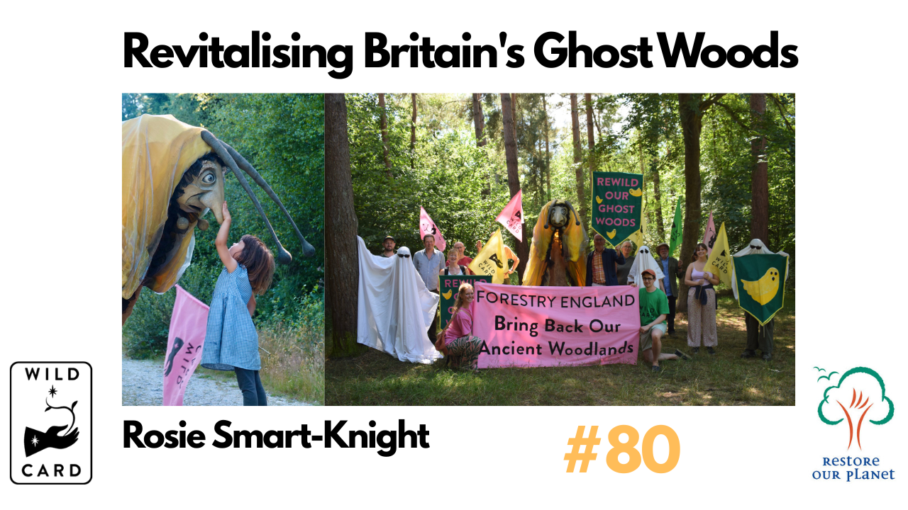 Restore Our Planet Podcast #80 Wild Card: Revitalising Britain's Ghost Woods. Rosie Smart-Knight