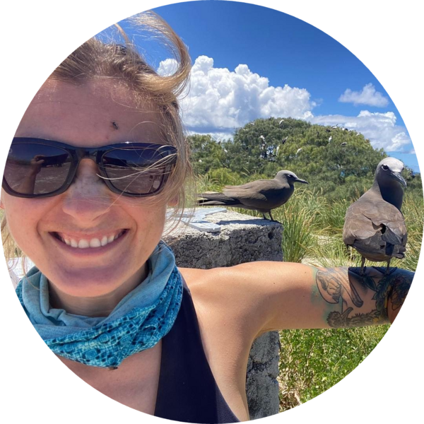 Go to the profile of Anna Vallery