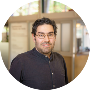 Go to the profile of Mohammad J. Mirzaali