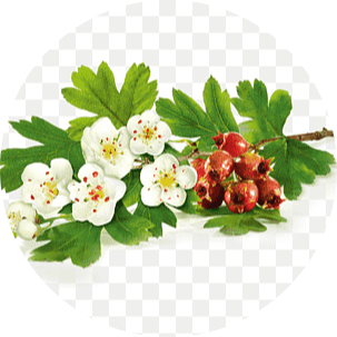 Go to the profile of C Higgins