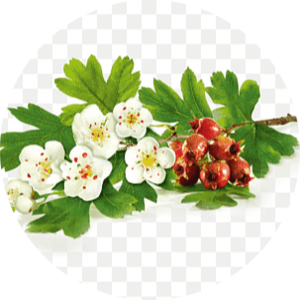 Go to the profile of C Higgins