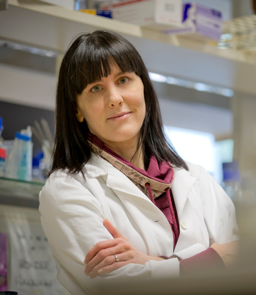 Go to the profile of Sabine Kienesberger