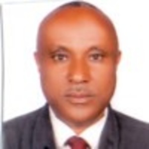 Go to the profile of Temesgen Afeta