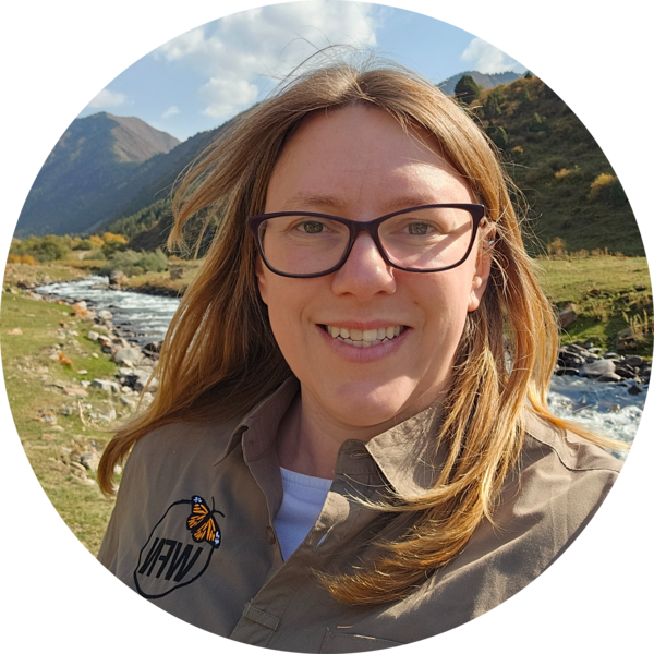 Go to the profile of Lisa Wheeler