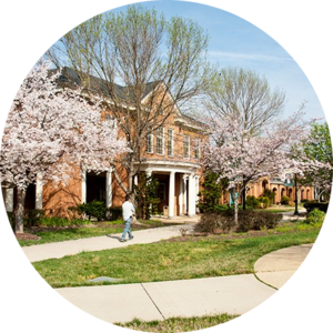 Go to the profile of Tony Bates