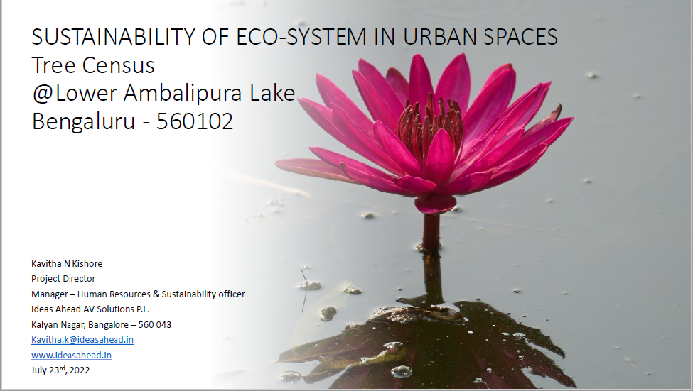 Sustainability of Ecosystem in Urban Spaces 