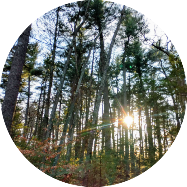 Go to the profile of Ronald Perkins