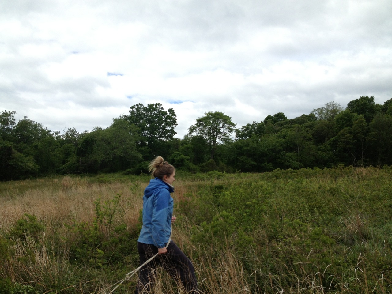 Bacterial genomes reveal ancient history of Lyme disease in North America