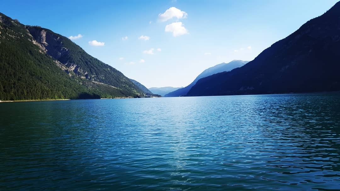 After the Paper | Utilizing chemical mutagenesis to study the impact of mutations on gene expression and alternative splicing