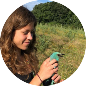 Go to the profile of Chiara Dragonetti