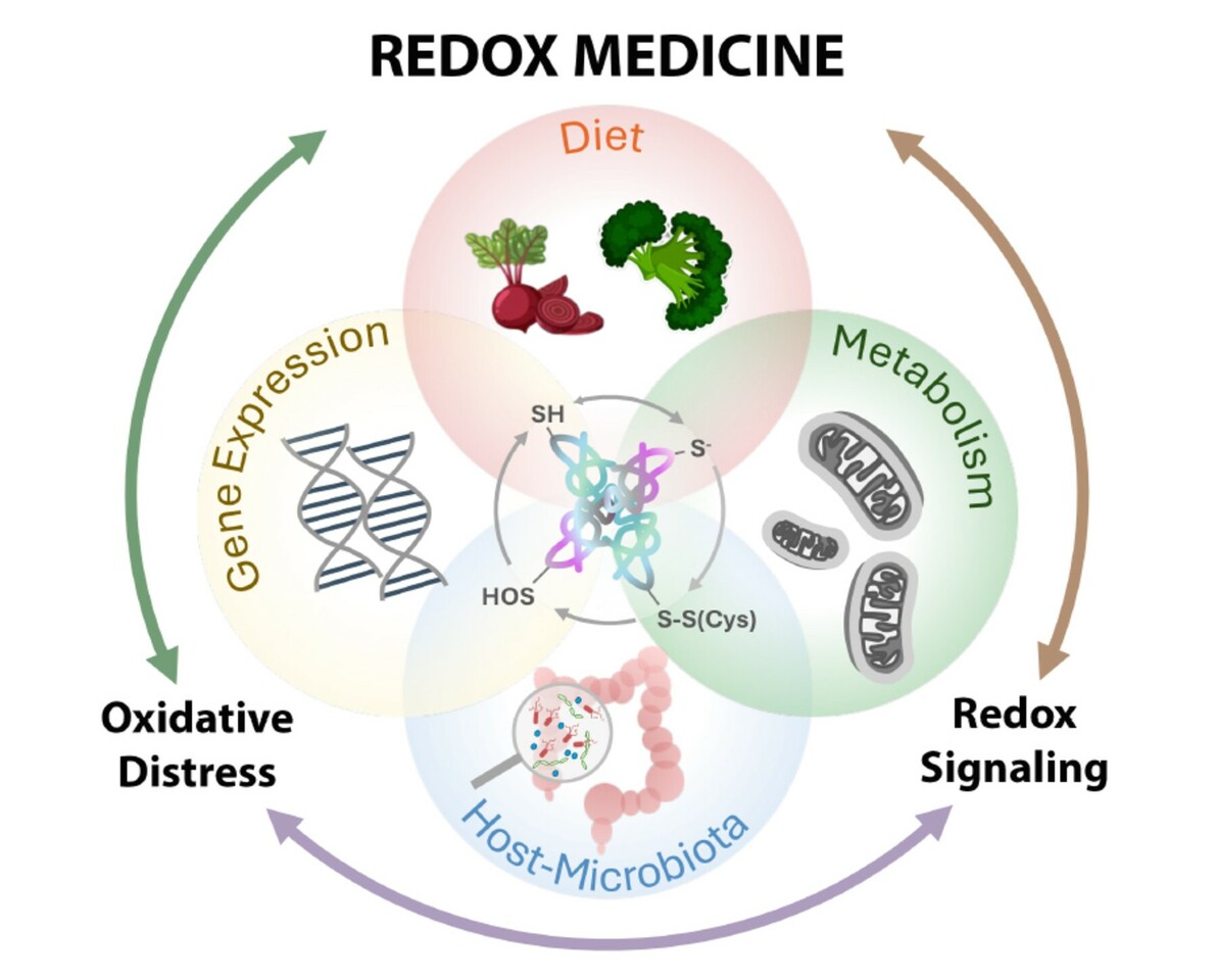 Special Issue on Redox Medicine