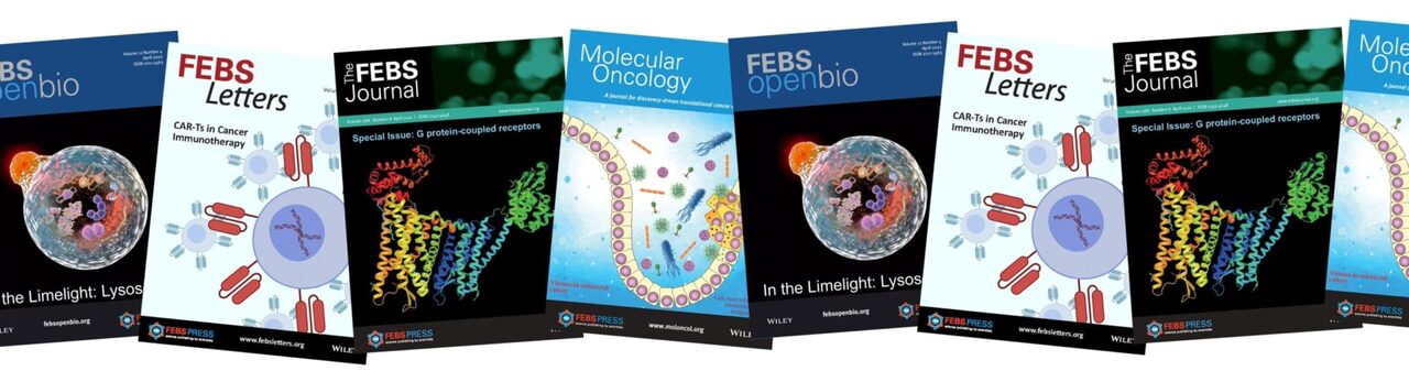 Submit to FEBS Letters' 2026 Cover Contest!