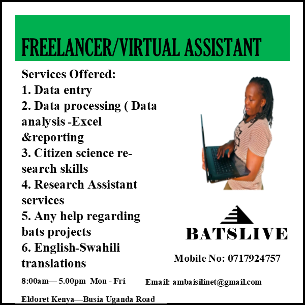 Virtual Assistant Services