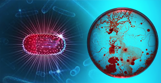        Top Six Articles on Antimicrobial Stewardship