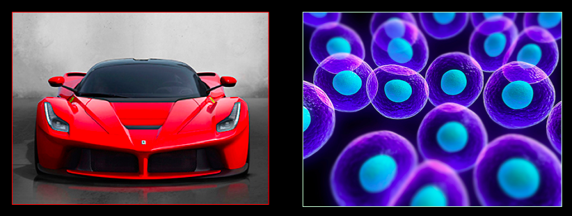 How to Mend a Broken Cell:  Let Experimental Evolution Show You How