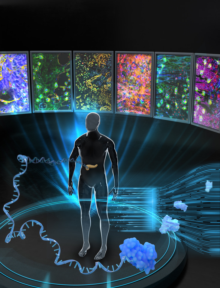 Proteogenomic analysis of human pancreatic ductal adenocarcinoma