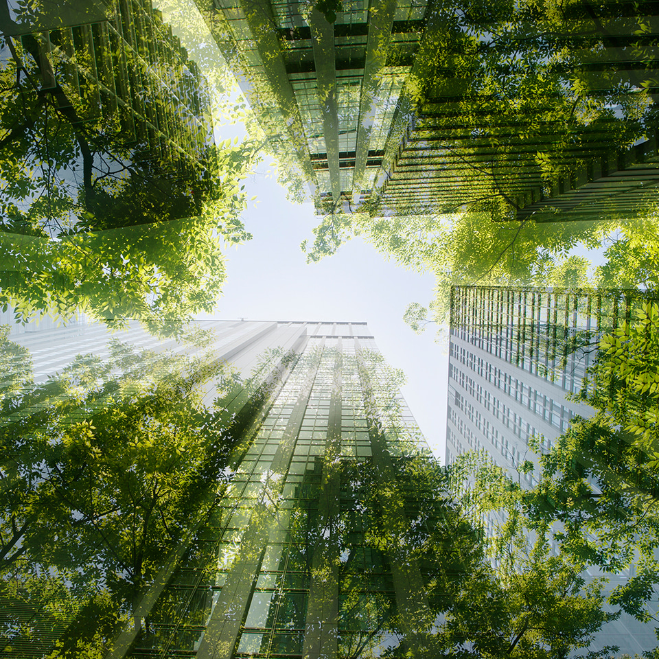 Top 100 in Sustainability from 2023 | Scientific Reports