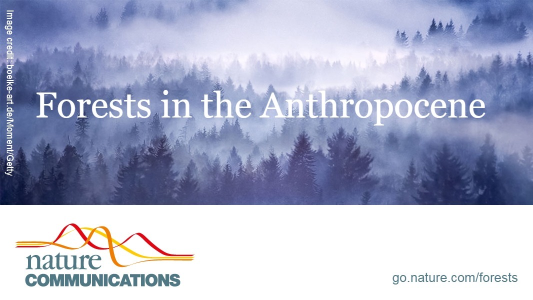 Celebrating International Day of Forests at Nature Communications