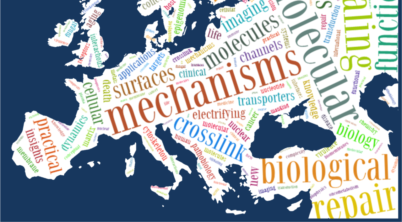 FEBS Advanced Courses 2019: call for proposals