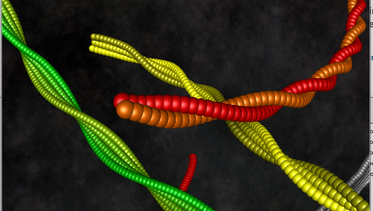 Alcohol Detoxification with Food Amyloid Fibrils and Iron