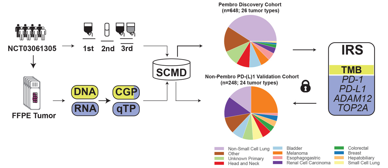 Development and validation of an integrative pan-solid tumor predictor of PD-1/PD-L1 blockade benefit