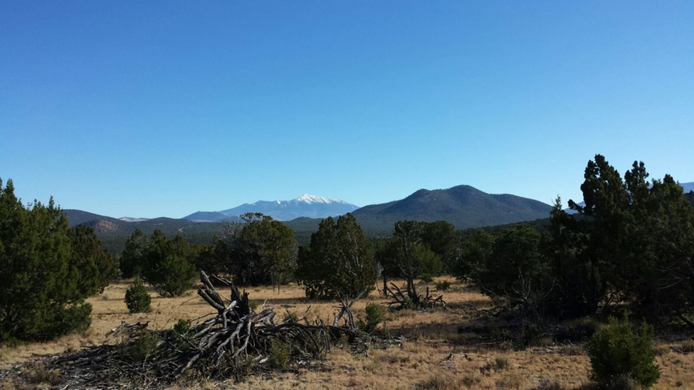 Water availability creates global thresholds in soil health