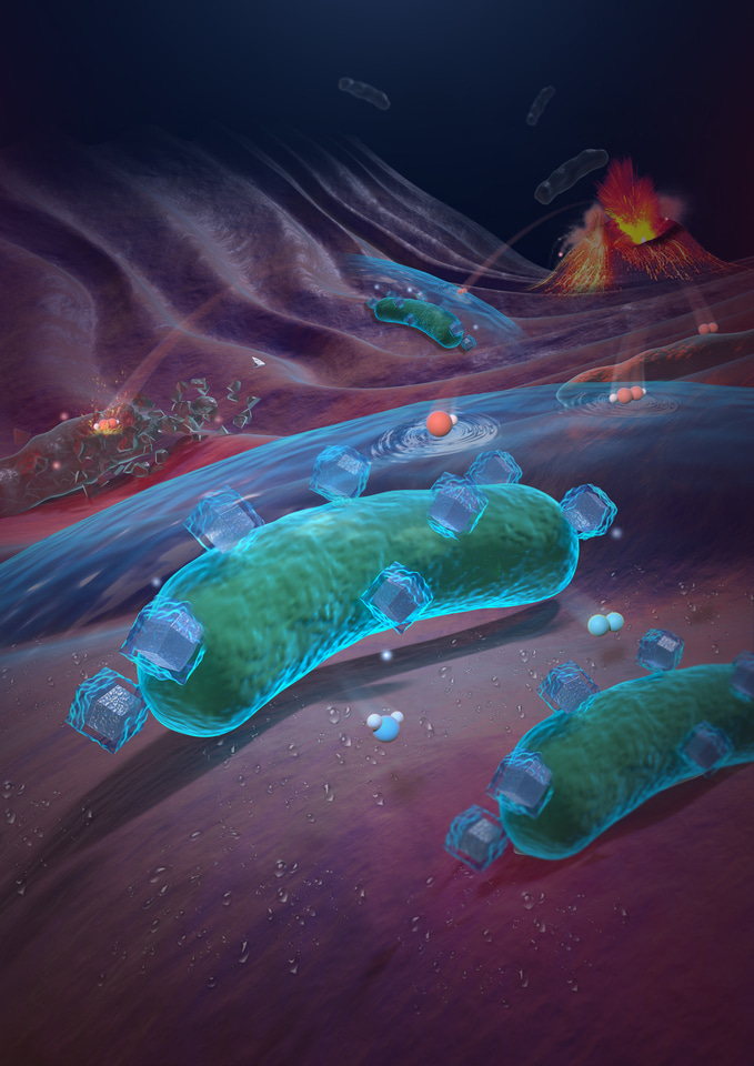 Attaching nanozymes to regulate probiotics’ metabolism and function