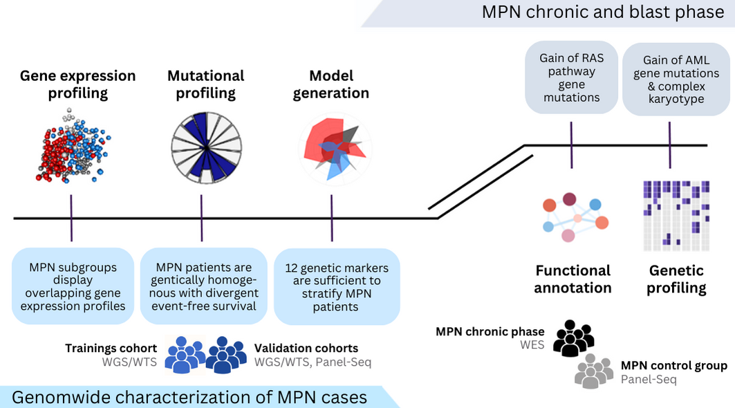 Characterization of myeloproliferative neoplasms based on genetics only and prognostication of transformation to blast phase