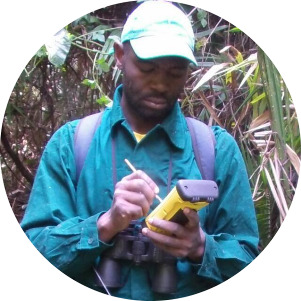 Go to the profile of Serge A. Kamgang