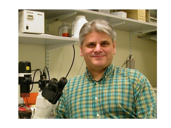 Go to the profile of Frank Michelangeli