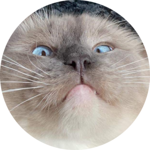 Go to the profile of Oliver Mills