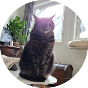 Go to the profile of Simon Rayner