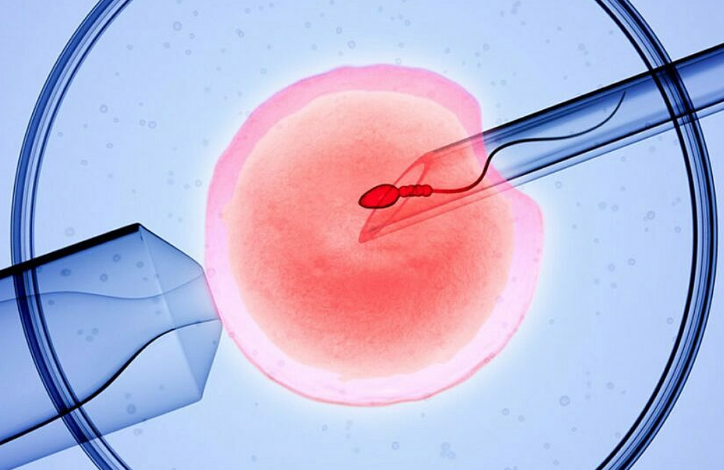 Celebrating World IVF Day 