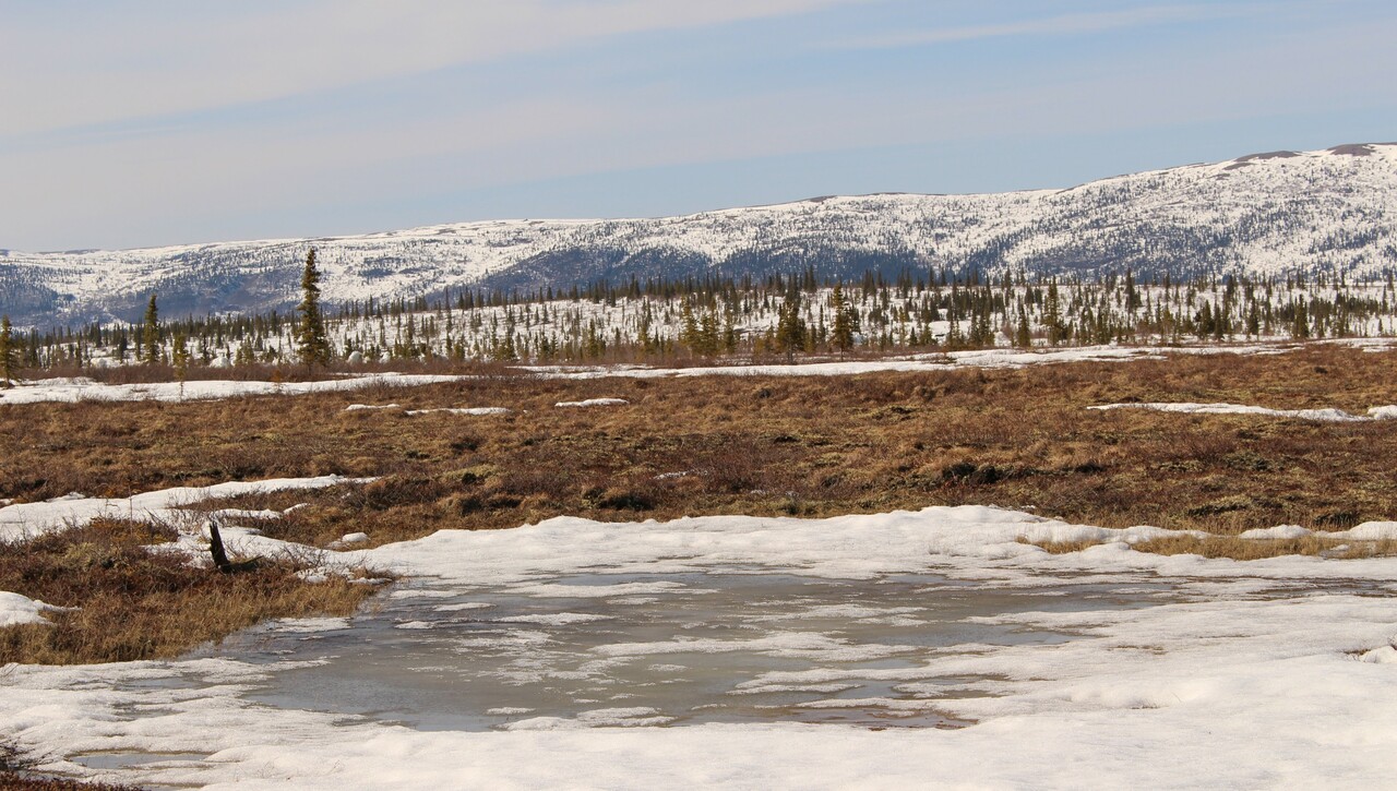 Detecting winter biogeochemical connectivity in polar environments with silicon isotopes