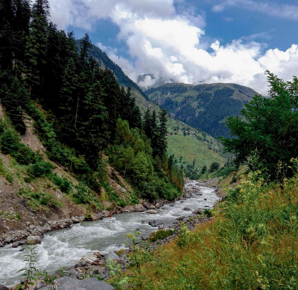 Greenhouse gas emissions from the streams of the Andes Cordillera