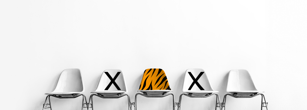 Explore Opportunities - The 2024 UK Occupation List Unveiled 