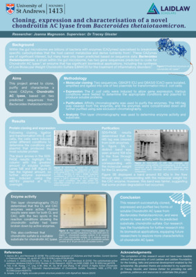 Cloning, expression and characterisation of a novel Chondroitin AC lyase from Bacteroides thetaiotaomicron