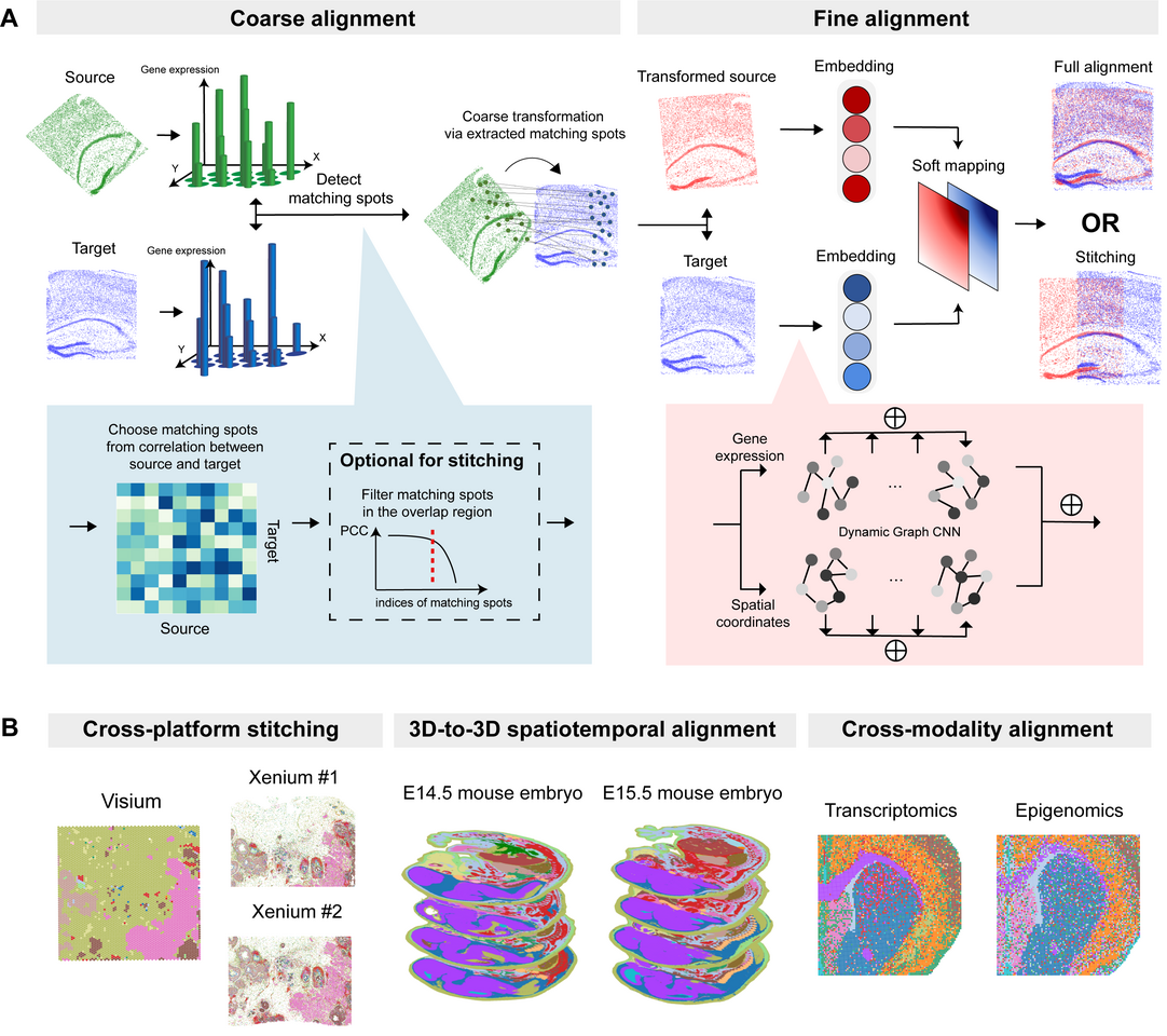 SANTO: a coarse-to-fine alignment and stitching method for spatial omics
