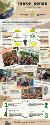 LiA Make_Sense Mexico City 2024 Infographics