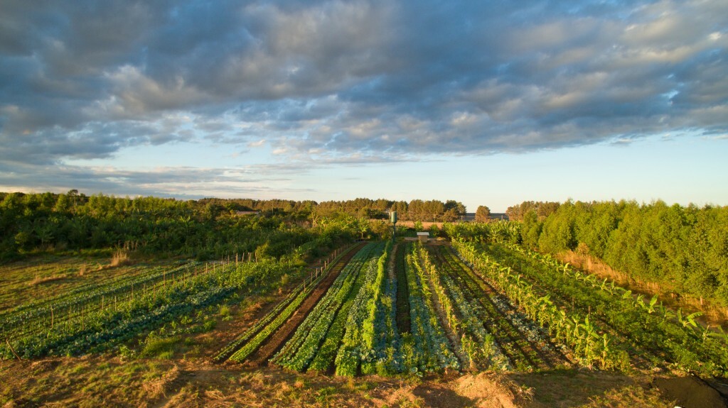 Laidlaw Summer 2023 Research Proposal