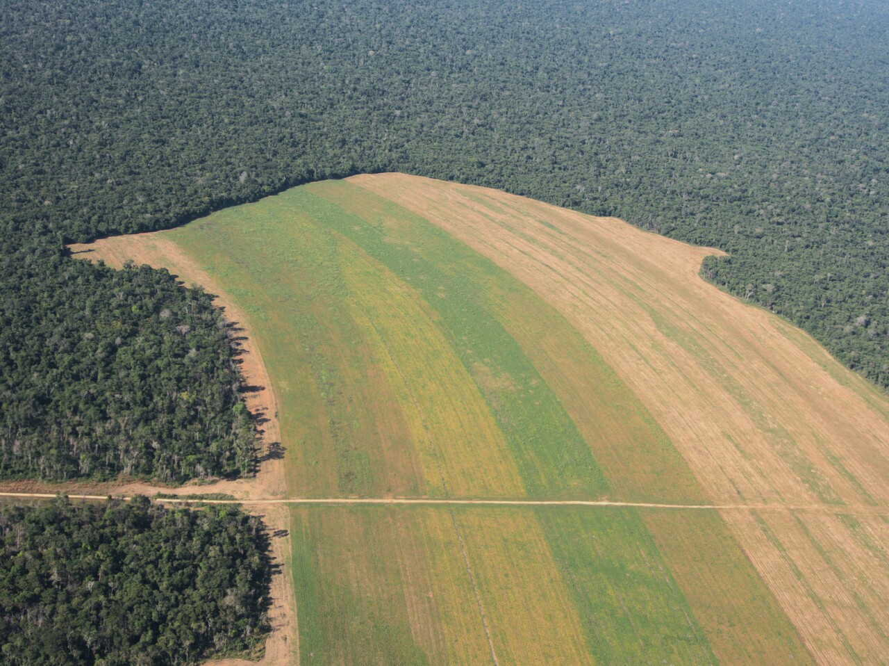 The Brazilian Forest Code and the fate of natural vegetation cover in private lands 10 years after its last review of 2012