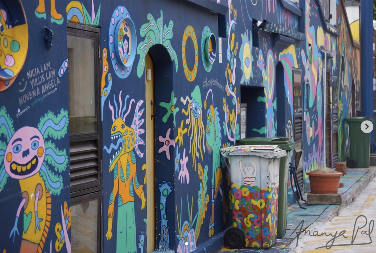 Laidlaw 6-week Research Residency Outtake 