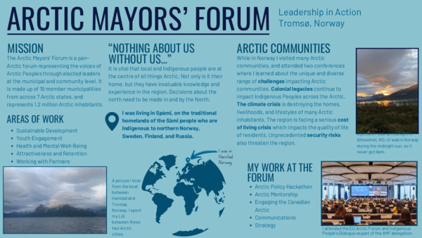 Arctic Mayors' Forum LiA 3MT