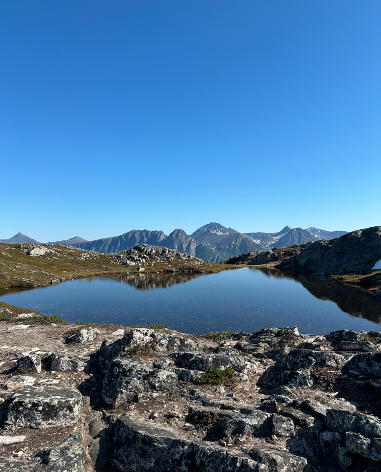 LiA Week 4 - Arctic Mayors' Forum