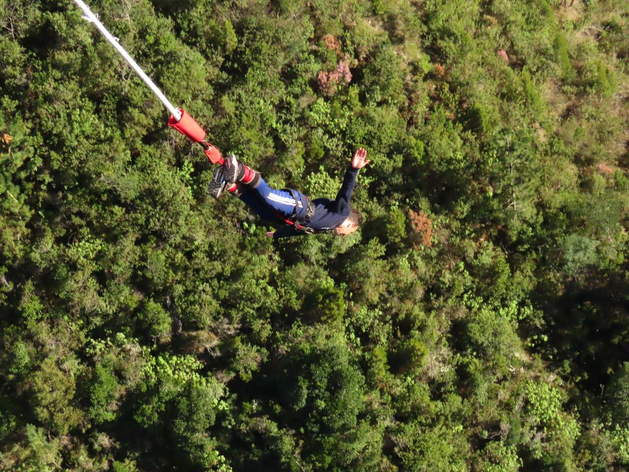 LiA Weekly Log: Week 6