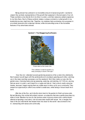 LIA Deliverable: Experience Abroad Reflection